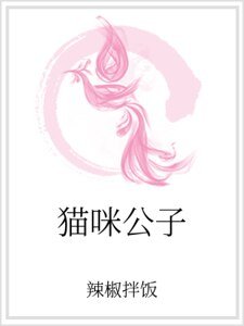 貓咪公子