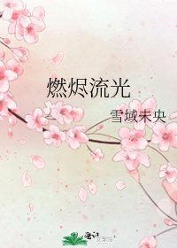 燃燼流光