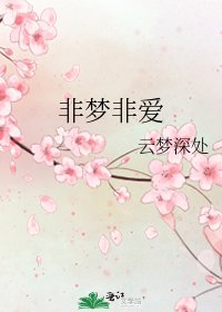 非夢非愛