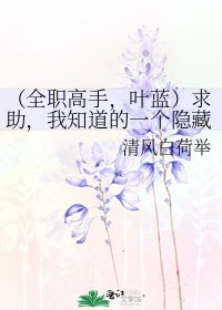 (全職高手,葉藍)求助,我知道的一個隱藏身份的太太居然是我男朋友怎麼破?線上等急。