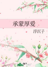 承蒙厚爱