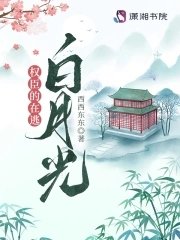權臣的在逃百月光