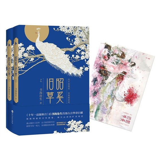 昭奚旧草(出书版)